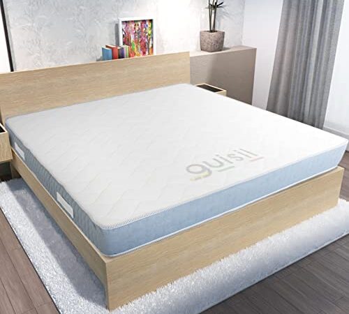 Guisil Nettuno | Materasso ortopedico in Memory Foam e Water Foam H22 | Dispositivo medico Classe 1 | Anallergico e traspirante | Prodotto in Italia (Singolo | 80 x 190 x 22 cm)