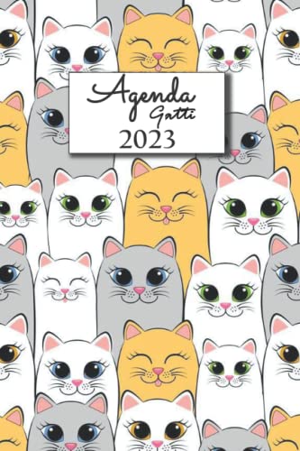 Miglior gatto nel 2022 [basato su 50 recensioni di esperti]