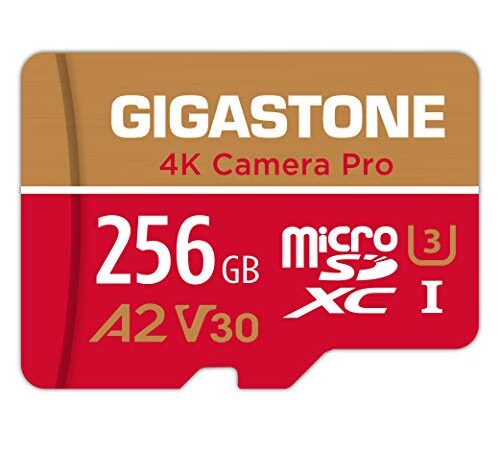 Gigastone Micro SD 256 GB, 4K Camera Pro Serie, A2 U3 V30 Per Telefono, Fotocamera, Videocamera, Tablet, Gopro, Switch, Velocità Fino a 100/60 MB/s (R/W) + Adattatore Scheda SD