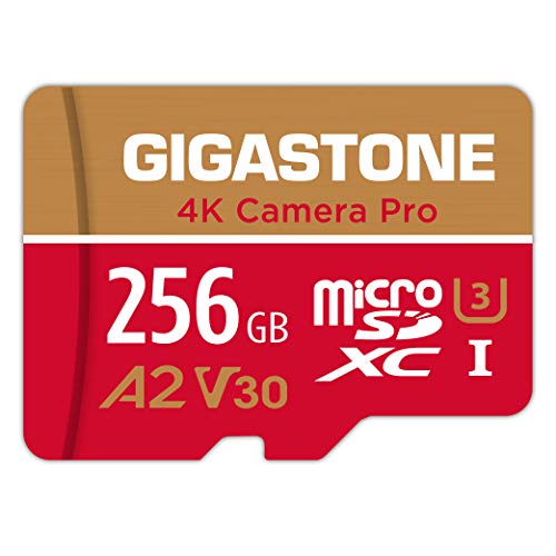 Miglior micro sd 256 gb nel 2022 [basato su 50 recensioni di esperti]