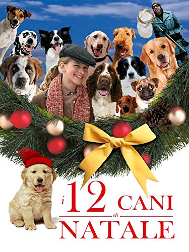 Miglior cane nel 2024 [basato su 50 recensioni di esperti]