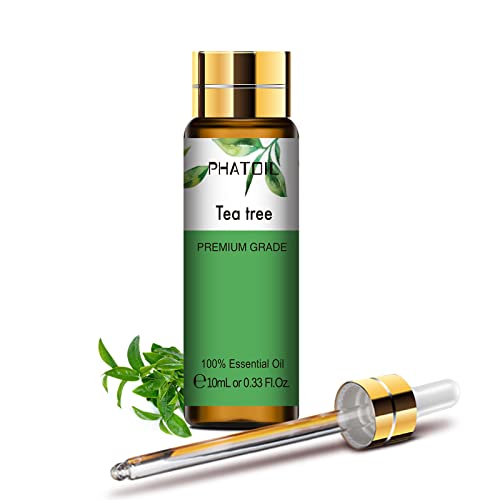 30 Miglior tea tree oil nel 2024 [basato su 50 recensioni di esperti]