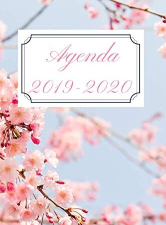 Agenda 2019 - 2020: Agenda Semainier de Août 2019 à Août 2020