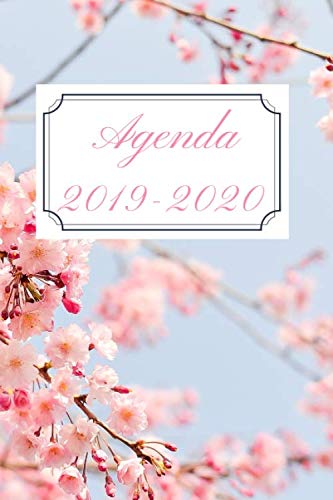 30 Miglior agenda 2019 2020 nel 2024 [basato su 50 recensioni di esperti]