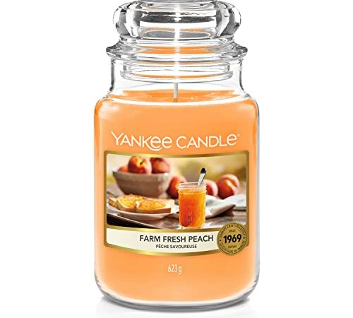 YANKEE CANDLE Candele, Farm Fresh Peach, Grande, 623 unità